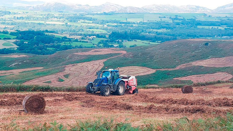 Bracken-is-a-weed-for-many-hill-farmers-800x450.jpg